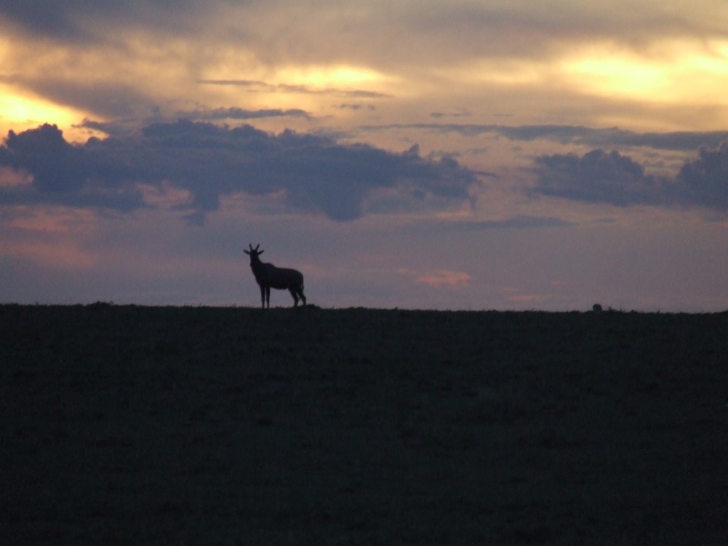 Kenya 2012 652